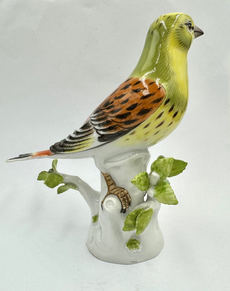 Meissen - Porcelain Figure Of A Gold Hammer Bird-photo-4