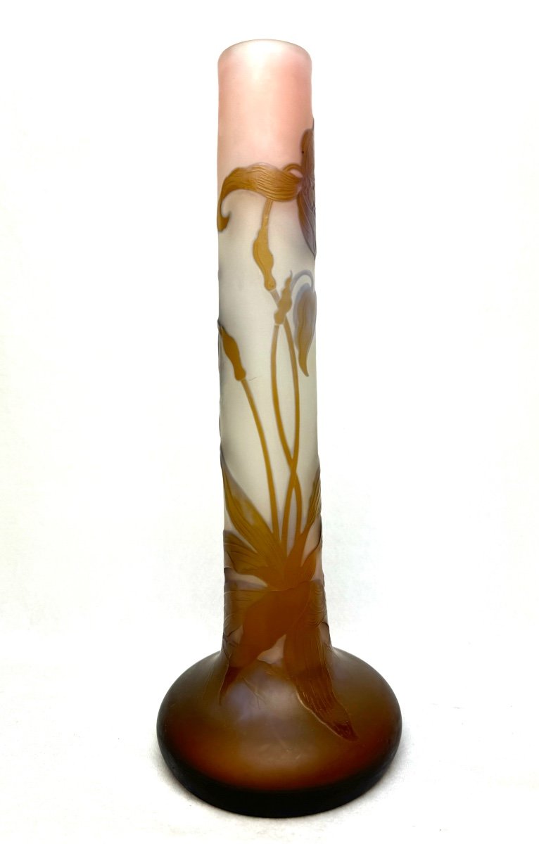 Gallé Vase Decorated With Orchids And Ferns -photo-2