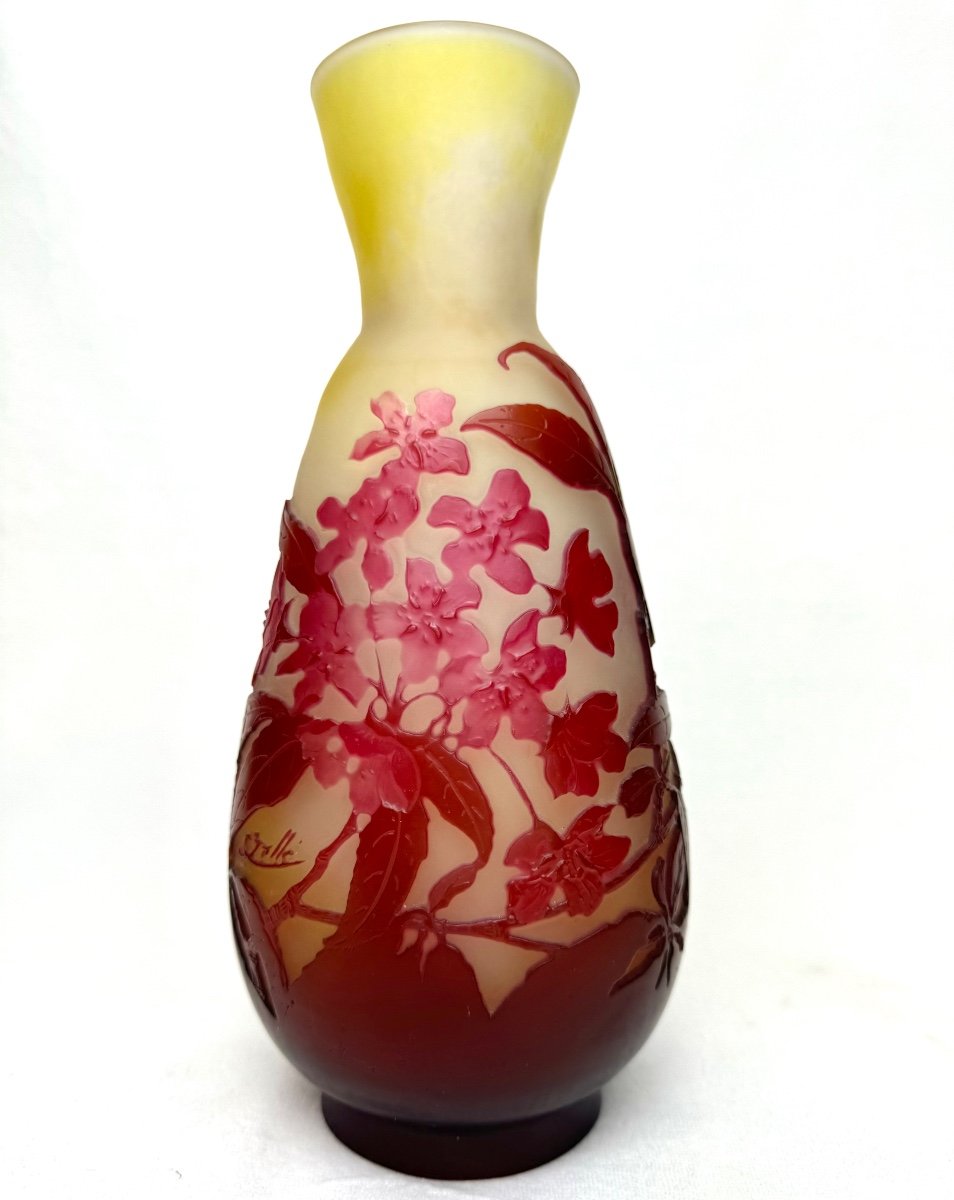 Gallé, Vase With Plum Blossom Decor 