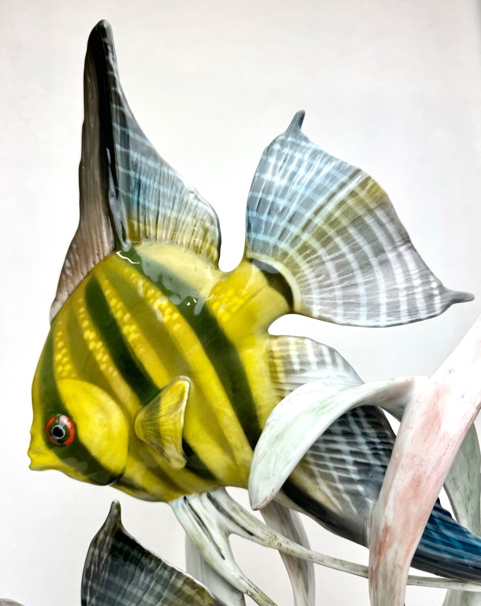 Rosenthal - Scalare Fish Porcelain Group-photo-3