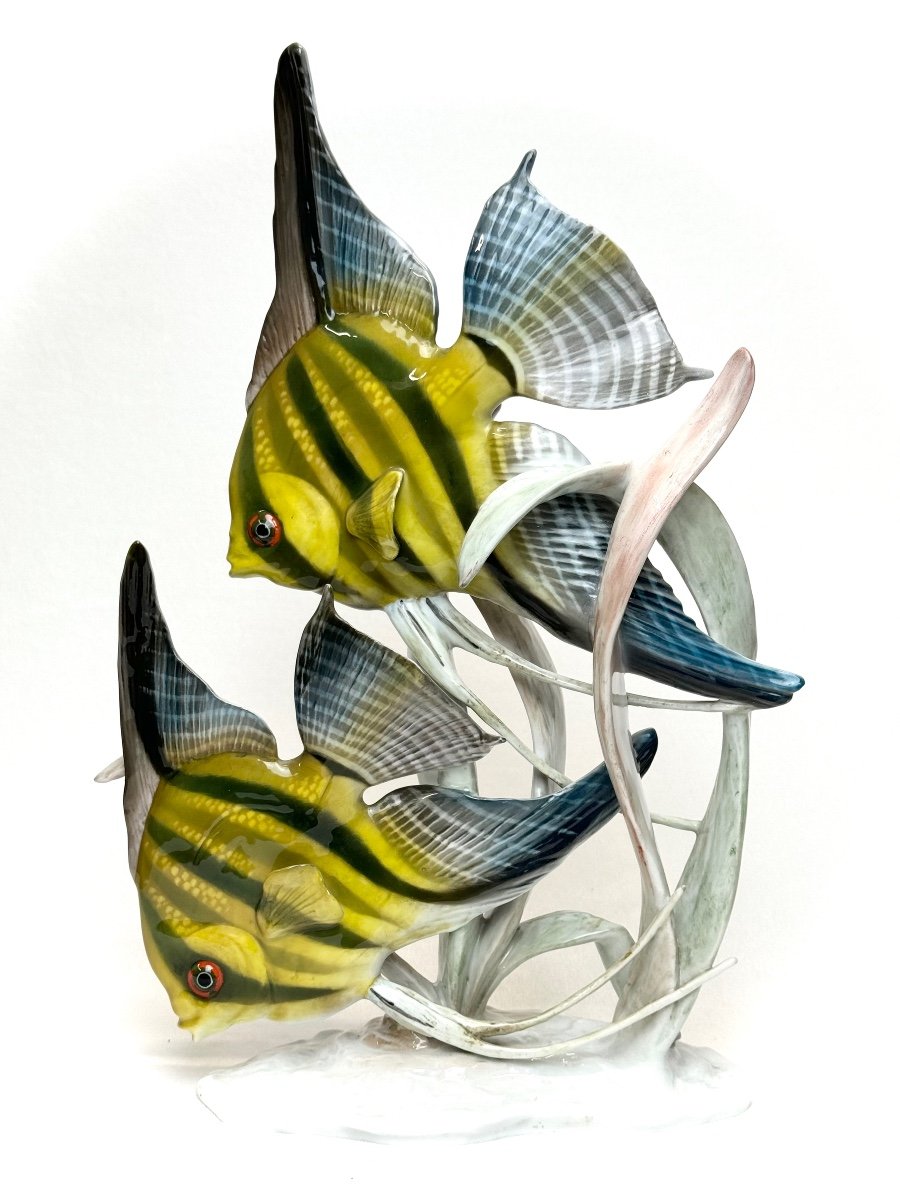 Rosenthal - Scalare Fish Porcelain Group