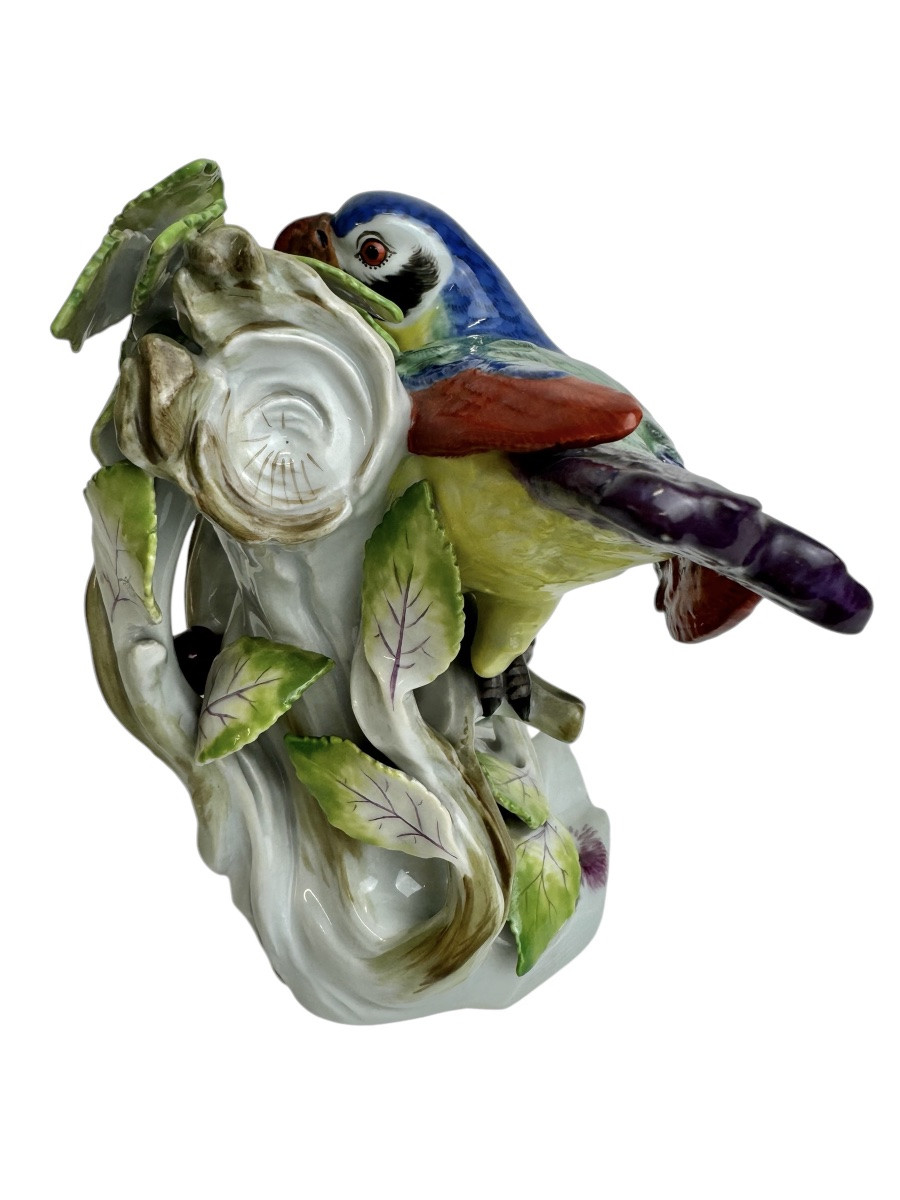 Meissen Porcelain Group: Parrot On Cherry Tree-photo-4