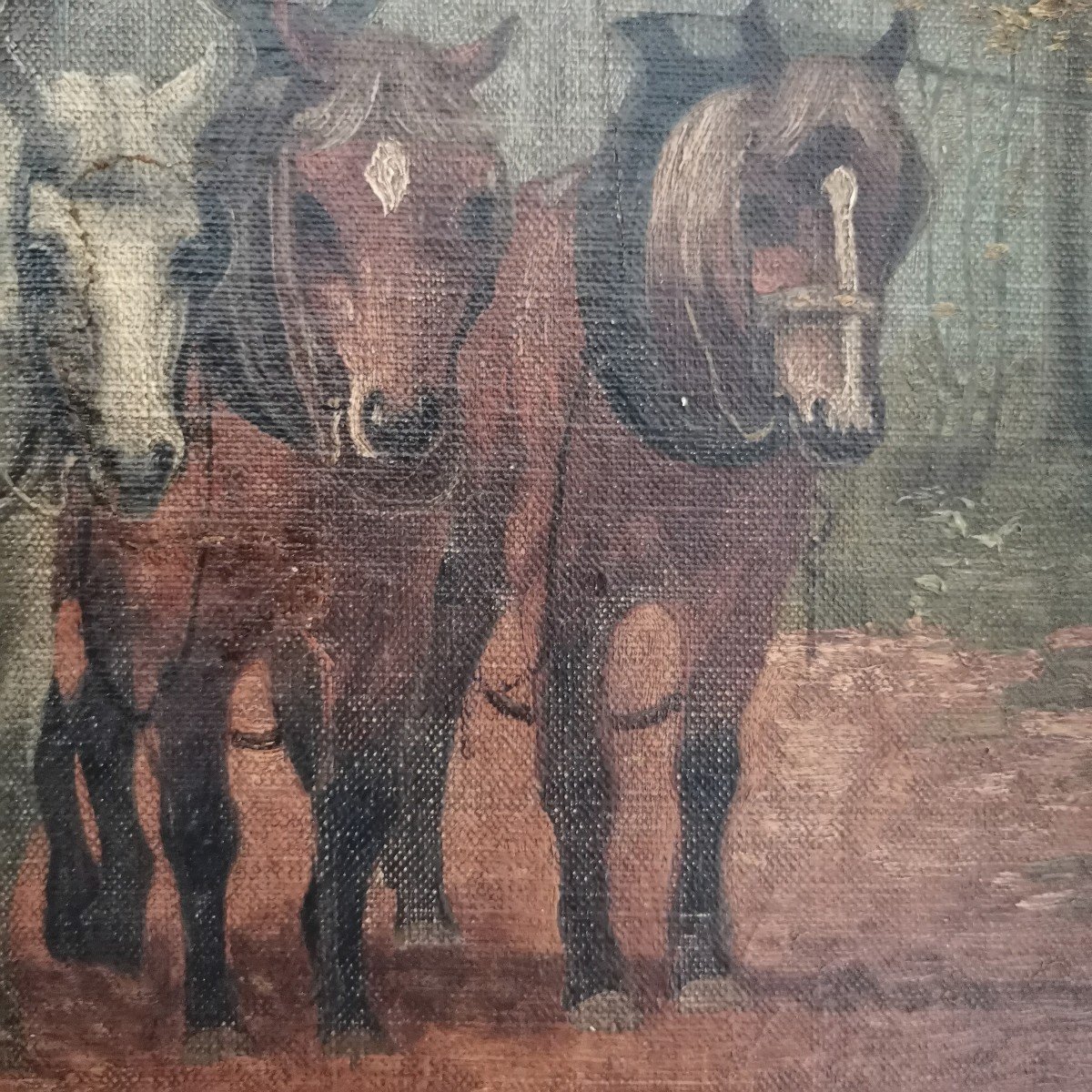 Chevaux De Trait Au Débardage En Forêt Par Jean Florin-photo-4