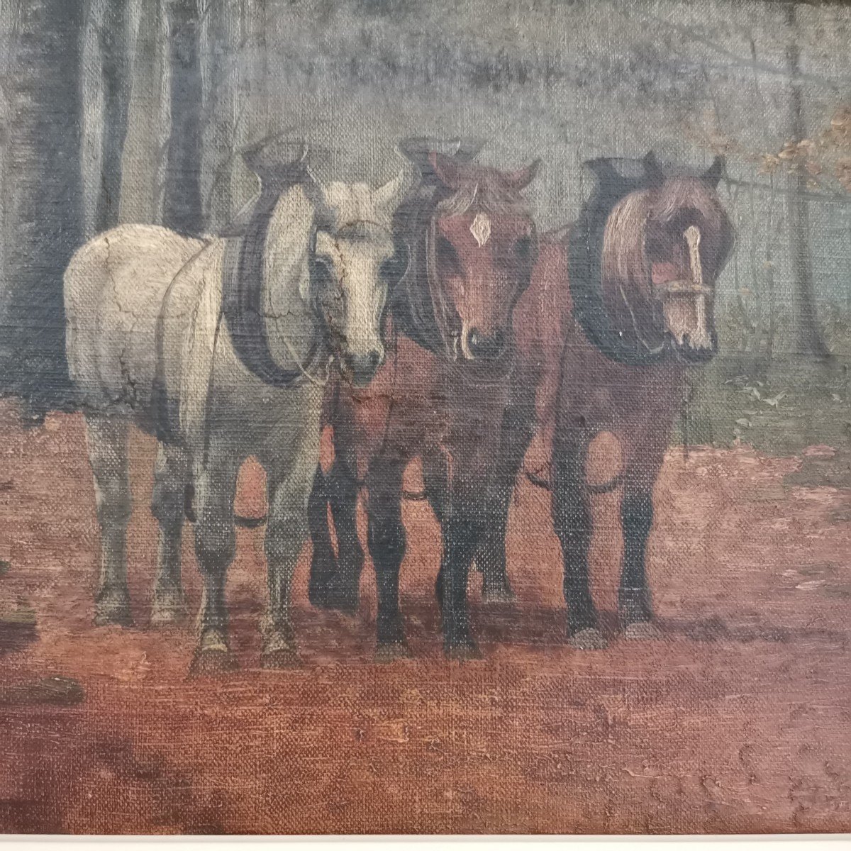 Chevaux De Trait Au Débardage En Forêt Par Jean Florin-photo-2