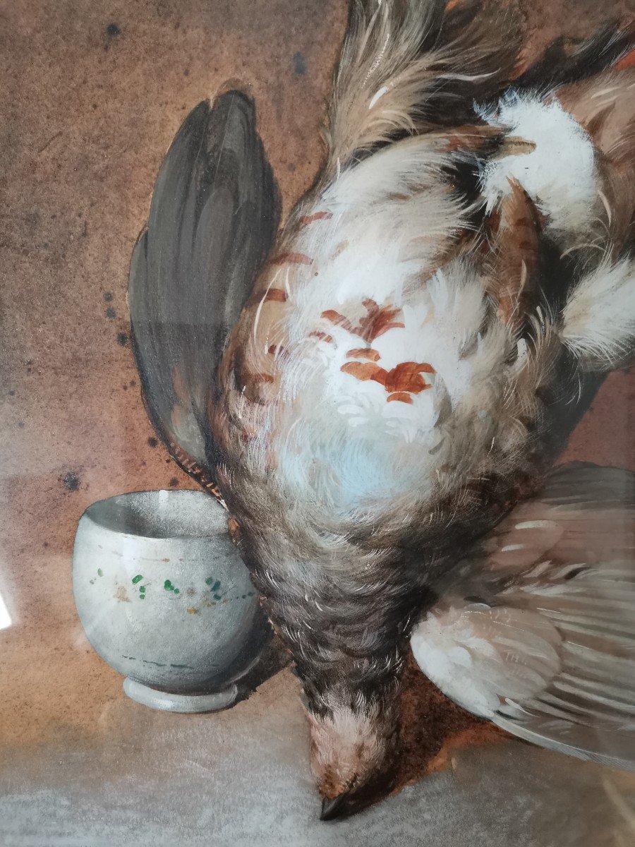 Partridge Still Life By William Cruickshank-photo-3