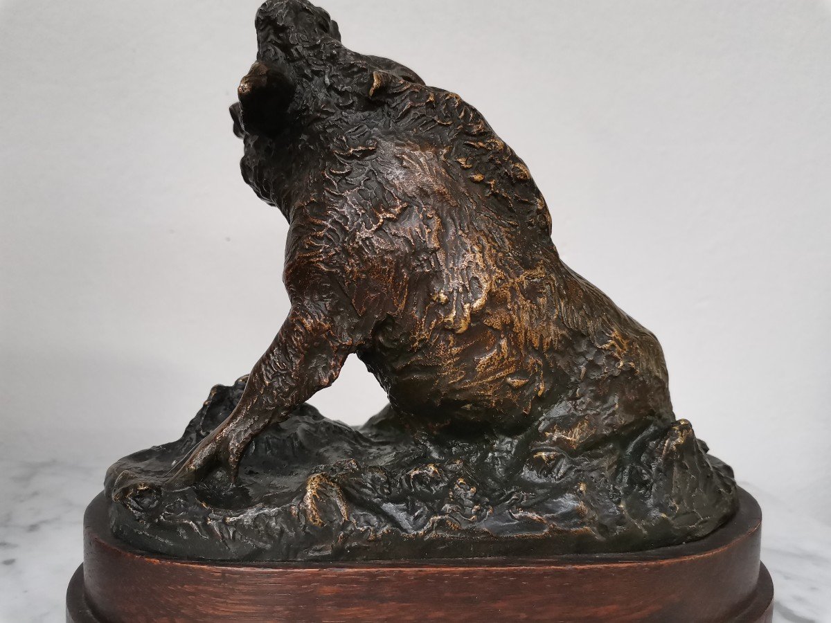 Wild Boar At The Farm. Bronze By E. Terrier -photo-1