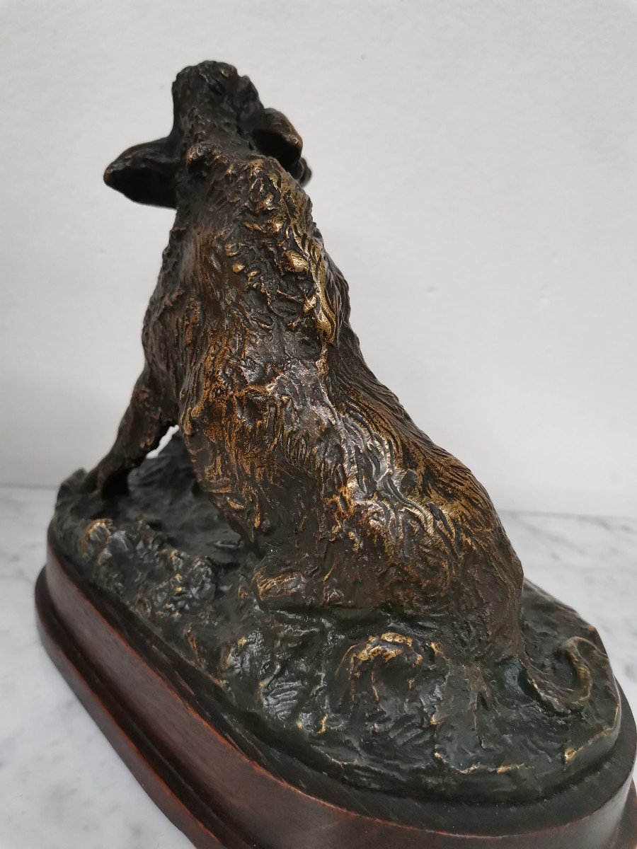 Wild Boar At The Farm. Bronze By E. Terrier -photo-4