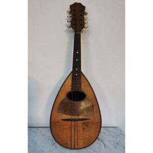 Mandolin From Naples Early 20th C. 