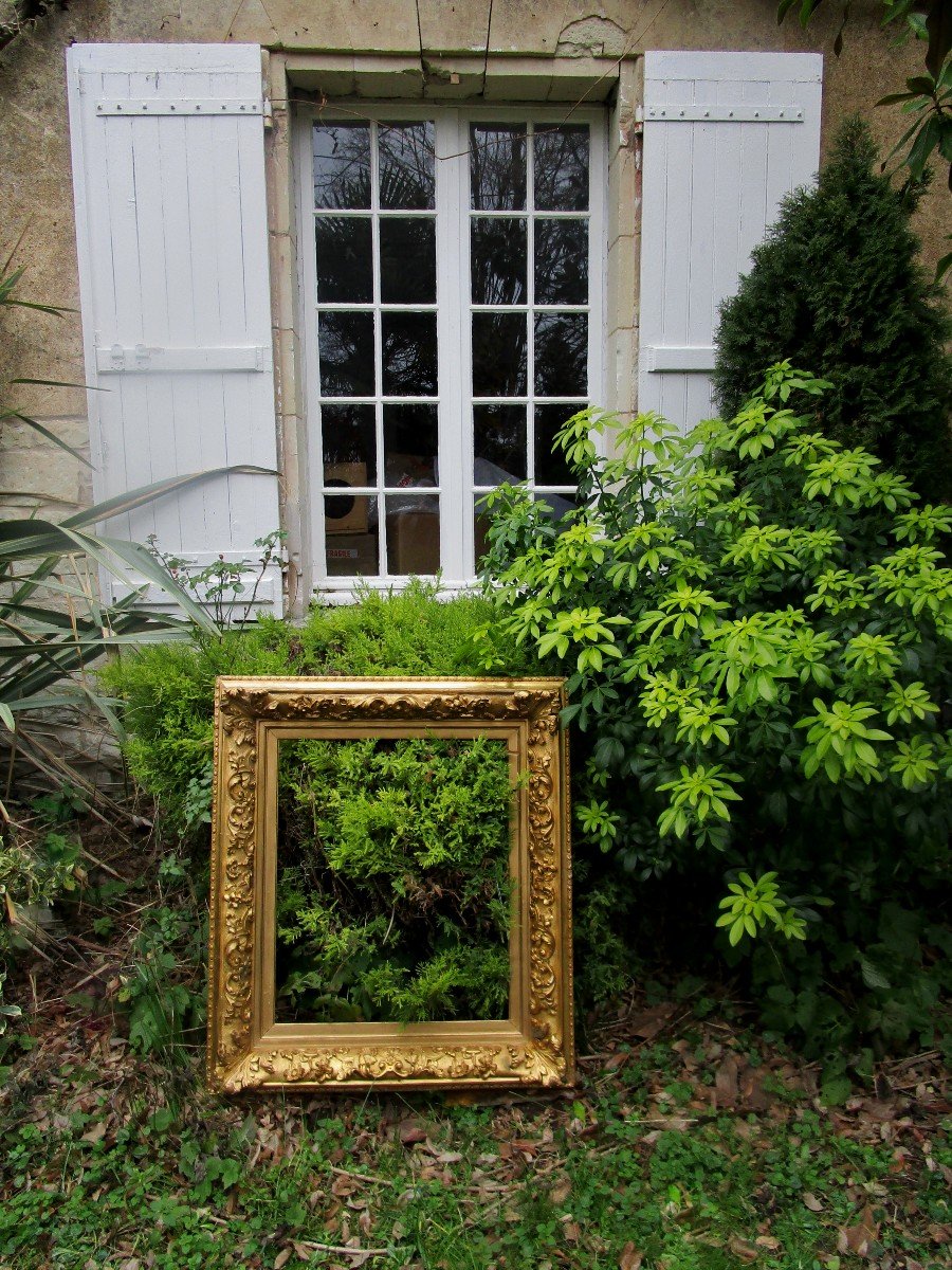 Imposing Frame XIX   94  X  83   With Leafy Spaniels-photo-3