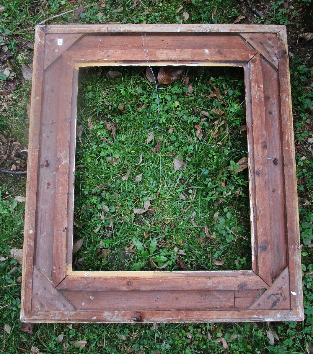 Imposing Frame XIX   94  X  83   With Leafy Spaniels-photo-8