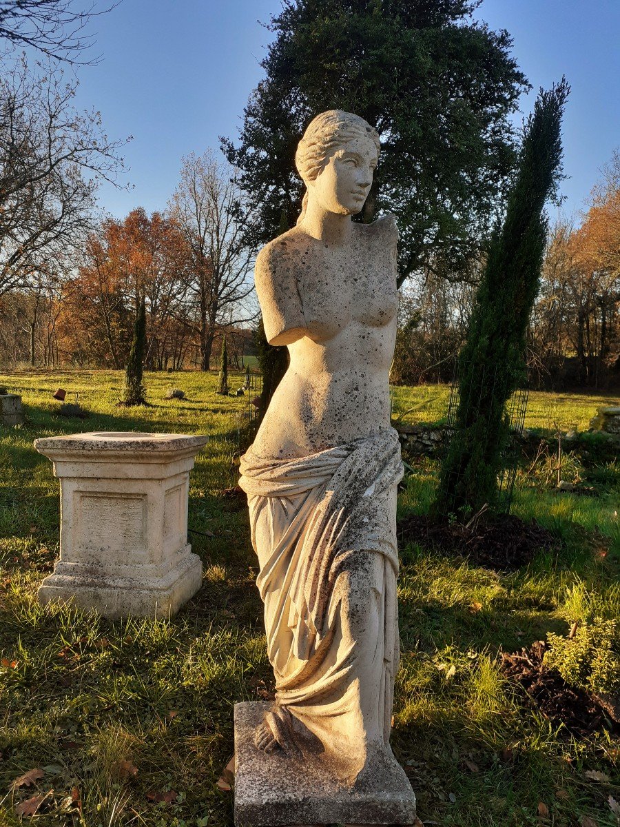 Grande Sculpture   avec  Socle 191 Cm - XIX ème - Aphrodite  -photo-4