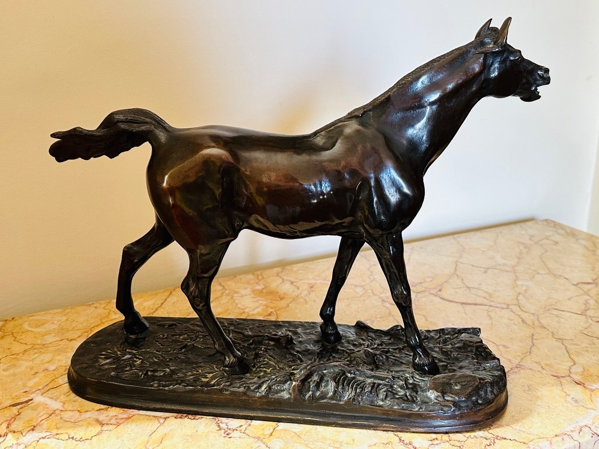 Bronze Cheval  P. J. Mêne. ( 1810 - 1879 ). -photo-2