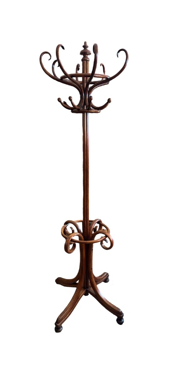 Large Parrot Coat Rack From The 1900s. -photo-1