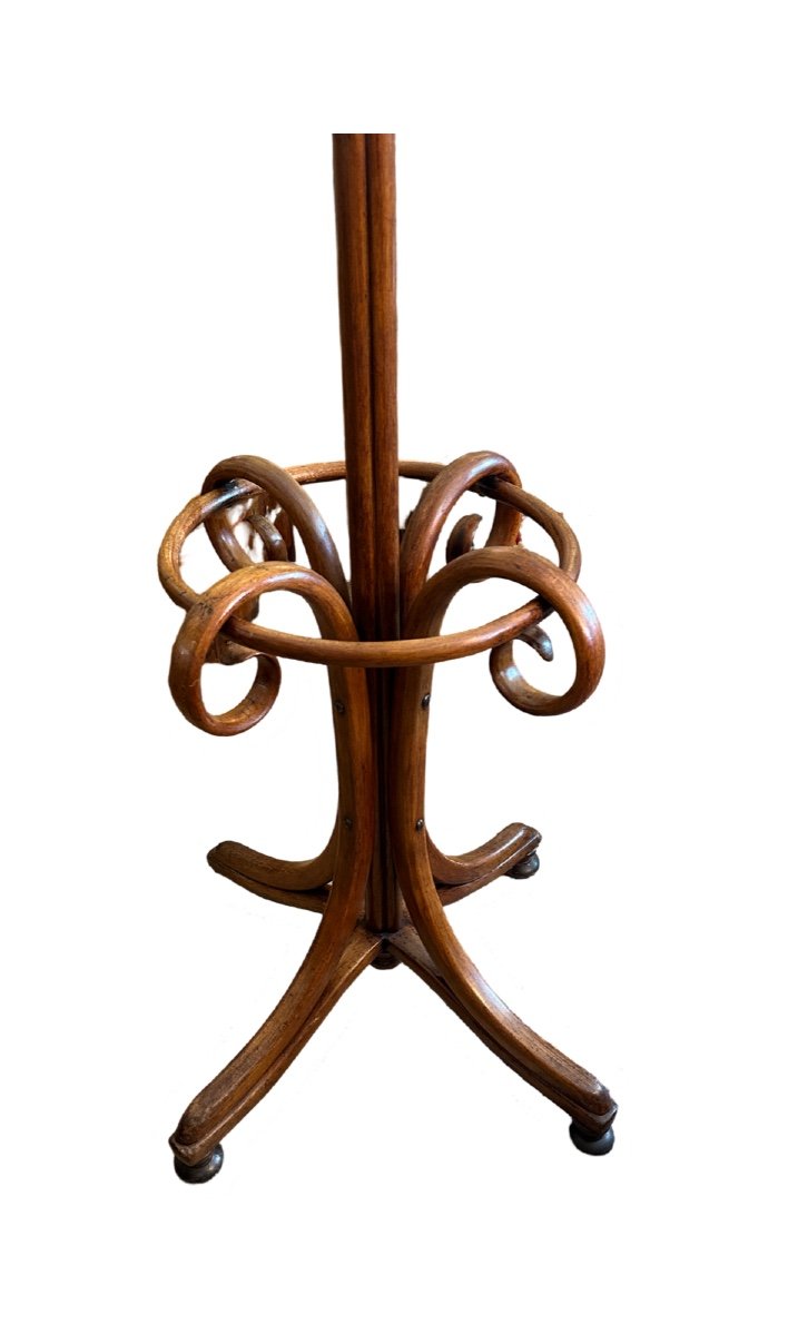 Large Parrot Coat Rack From The 1900s. -photo-3