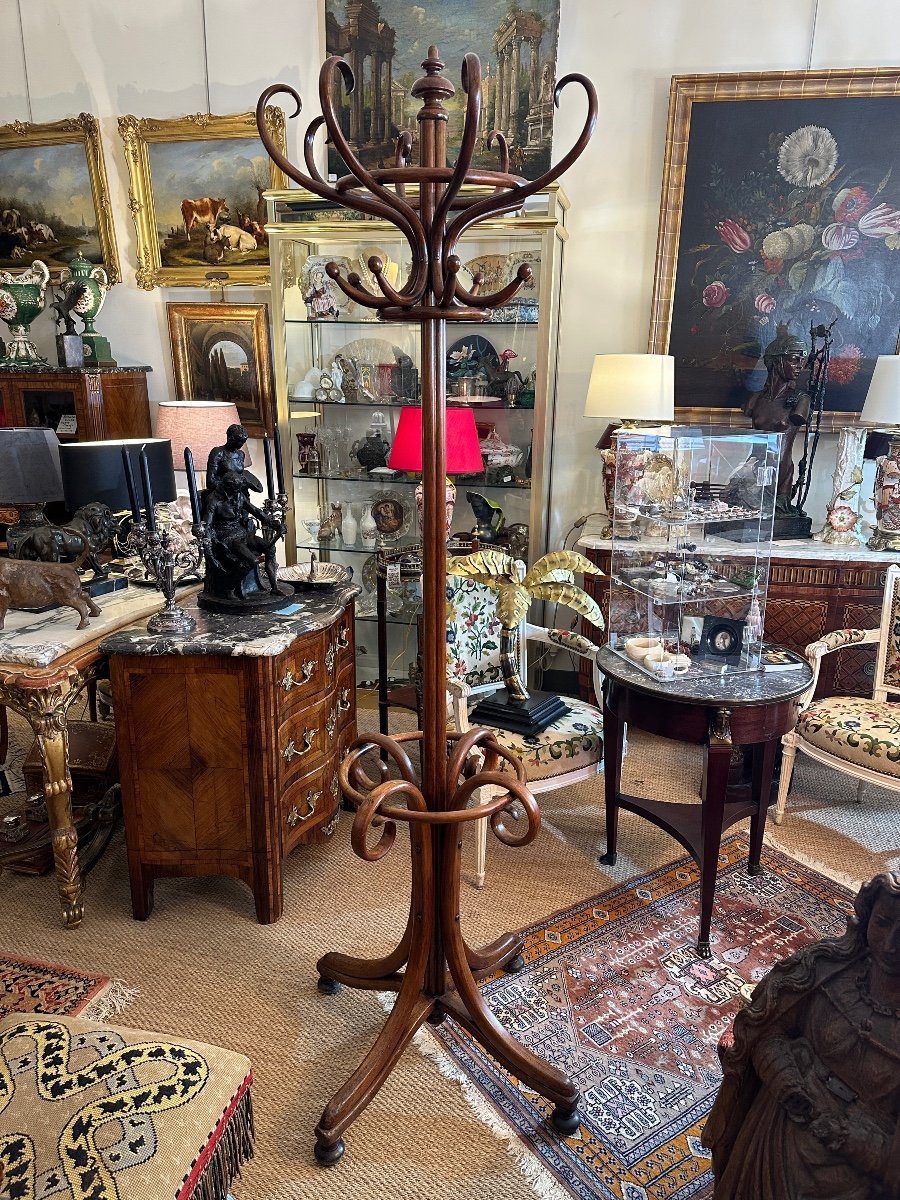 Large Parrot Coat Rack From The 1900s. 