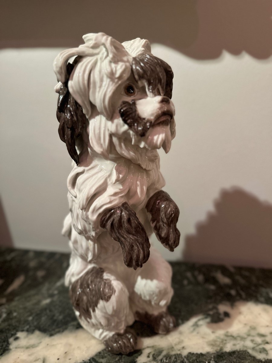 Chien Bolognais Porcelaine De Samson. -photo-3