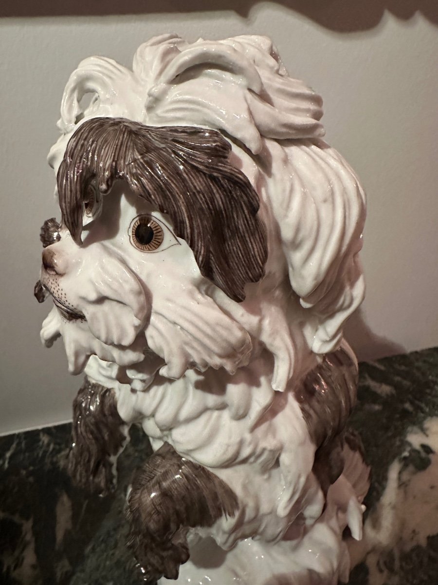 Chien Bolognais Porcelaine De Samson. -photo-5