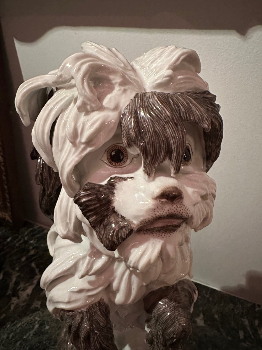 Chien Bolognais Porcelaine De Samson. -photo-8