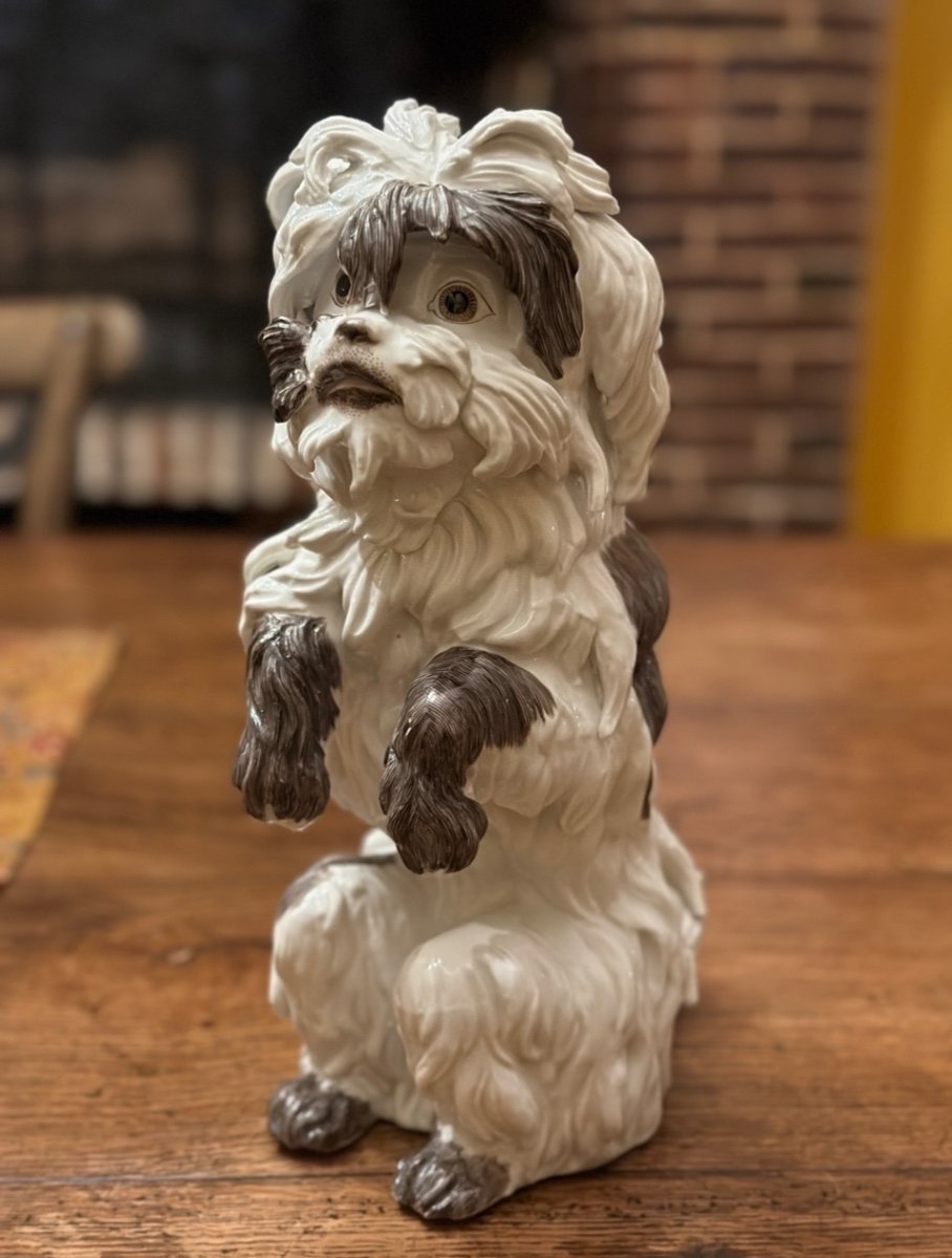 Chien Bolognais Porcelaine De Samson. 