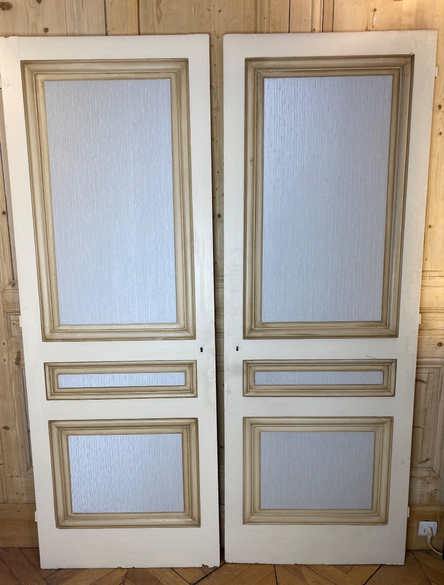 Pair Of Antique Doors 