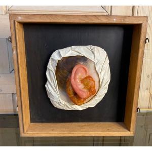 Ceroplasty-anatomical Molding-ear Pavilion-jules Beretta