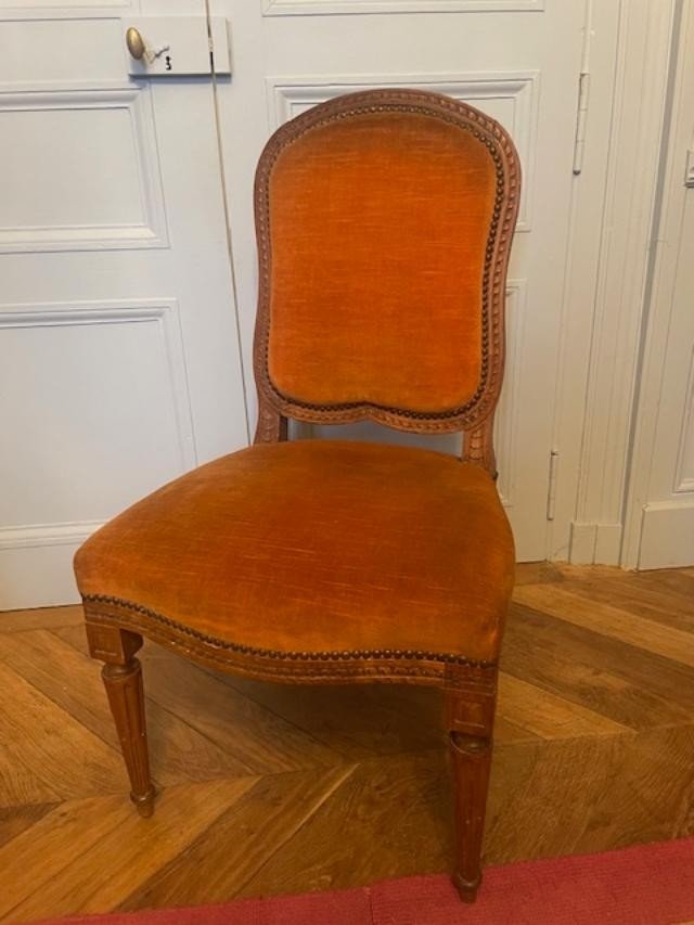 Suite de 6 chaises au modèle d'époque Louis XVI , 18 ème siècle