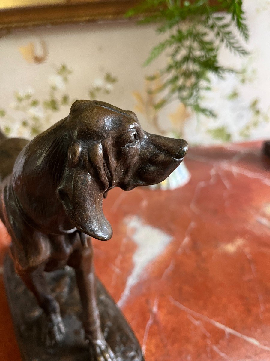 Animal Bronze, Hunting Dog, Alfred Barye-photo-4