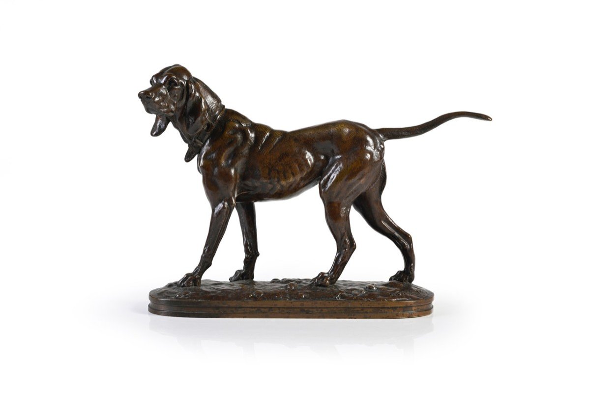 Animal Bronze, Hunting Dog, Alfred Barye-photo-3