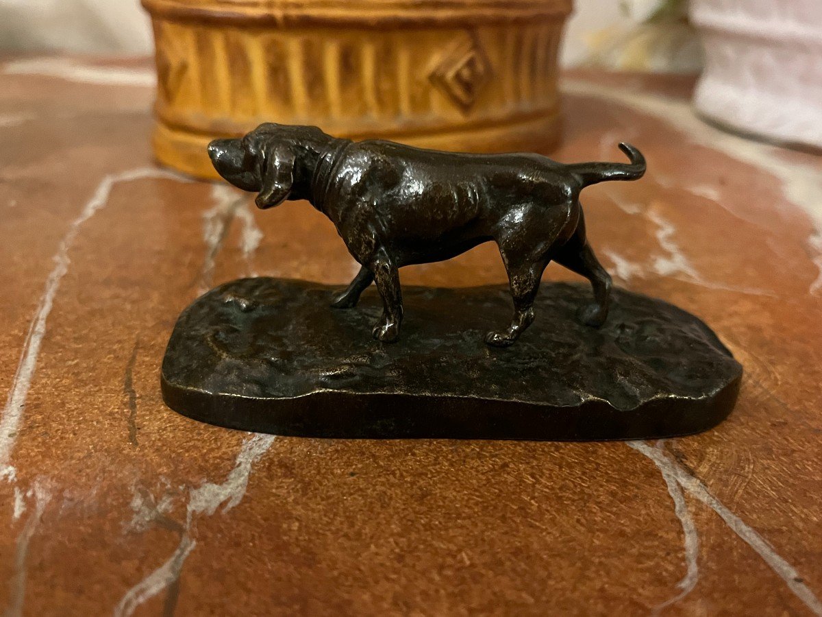 Animal Bronze, Hunting Dog, Pointer, French School Of The 19th Century-photo-2