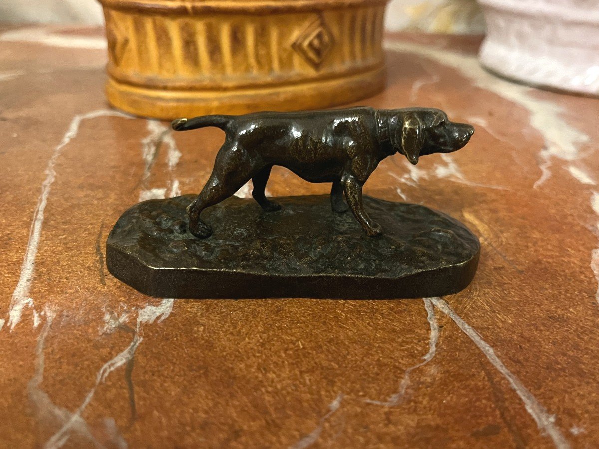 Animal Bronze, Hunting Dog, Pointer, French School Of The 19th Century