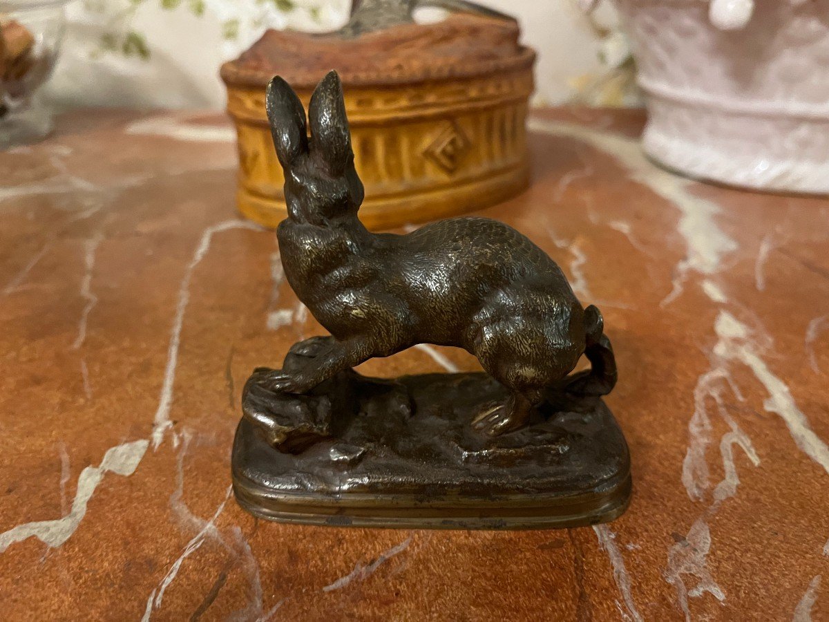 Animal Bronze, Hare, French School, 19th Century-photo-2