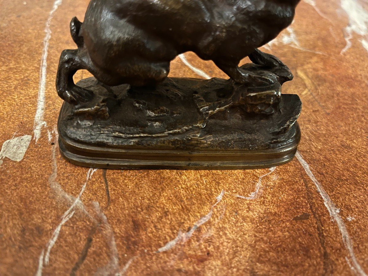 Animal Bronze, Hare, French School, 19th Century-photo-3