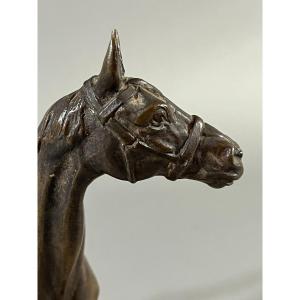 Bronze Animalier, Cheval Avec Son Licol, Gaston d' Illiers 