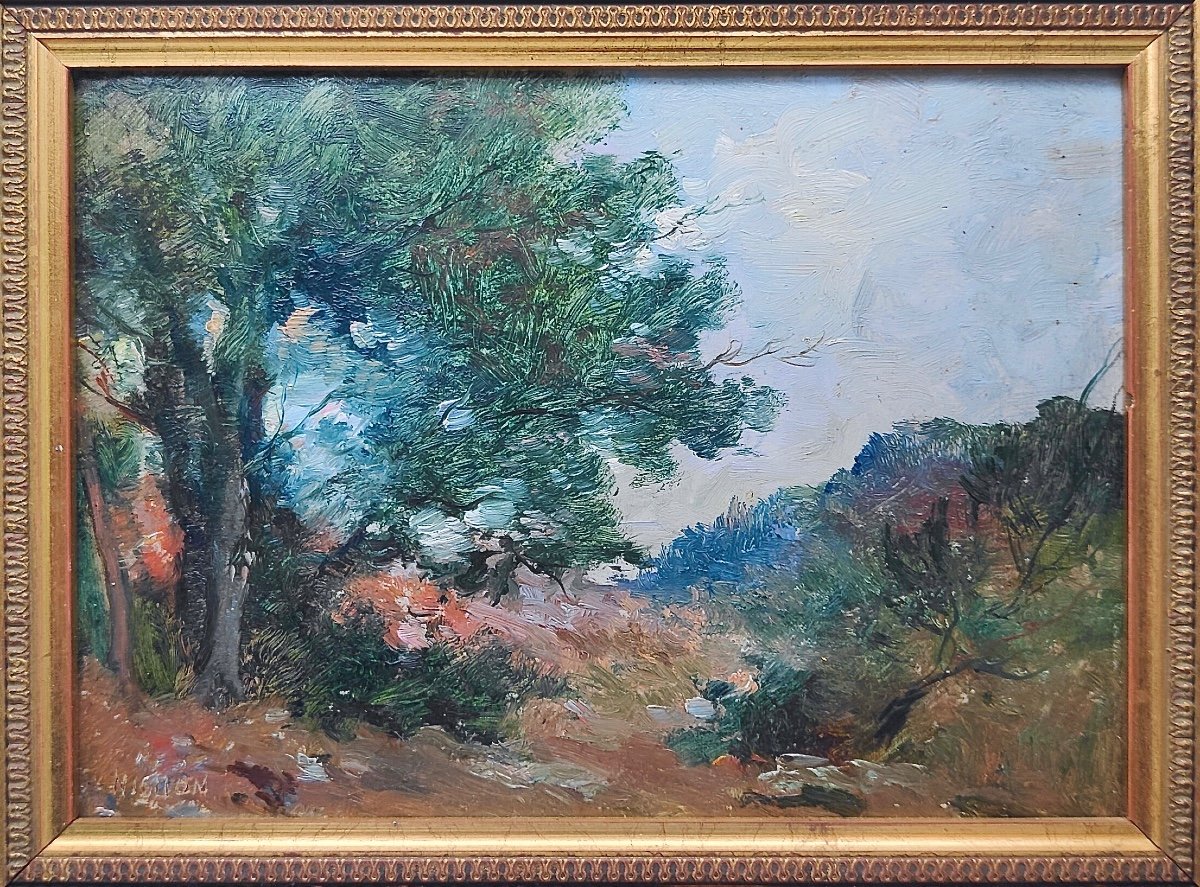 Barthélemy Niollon (1849-1927) Garrigue Landscape-photo-2