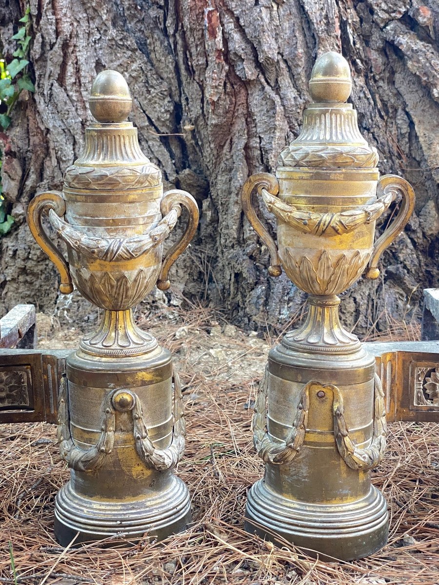 Pair Of Gilt Bronze Andirons From The Louis XVI Period-photo-3