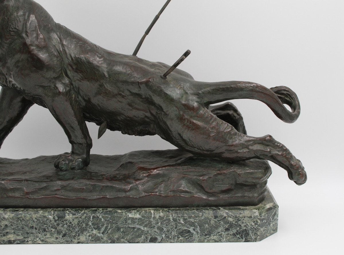 Large Bronze "the Wounded Lioness" By Charles Valton (1851-1918)-photo-4