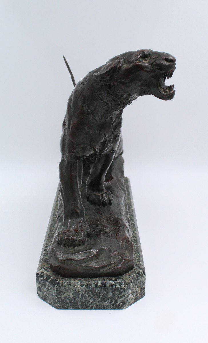 Large Bronze "the Wounded Lioness" By Charles Valton (1851-1918)-photo-1