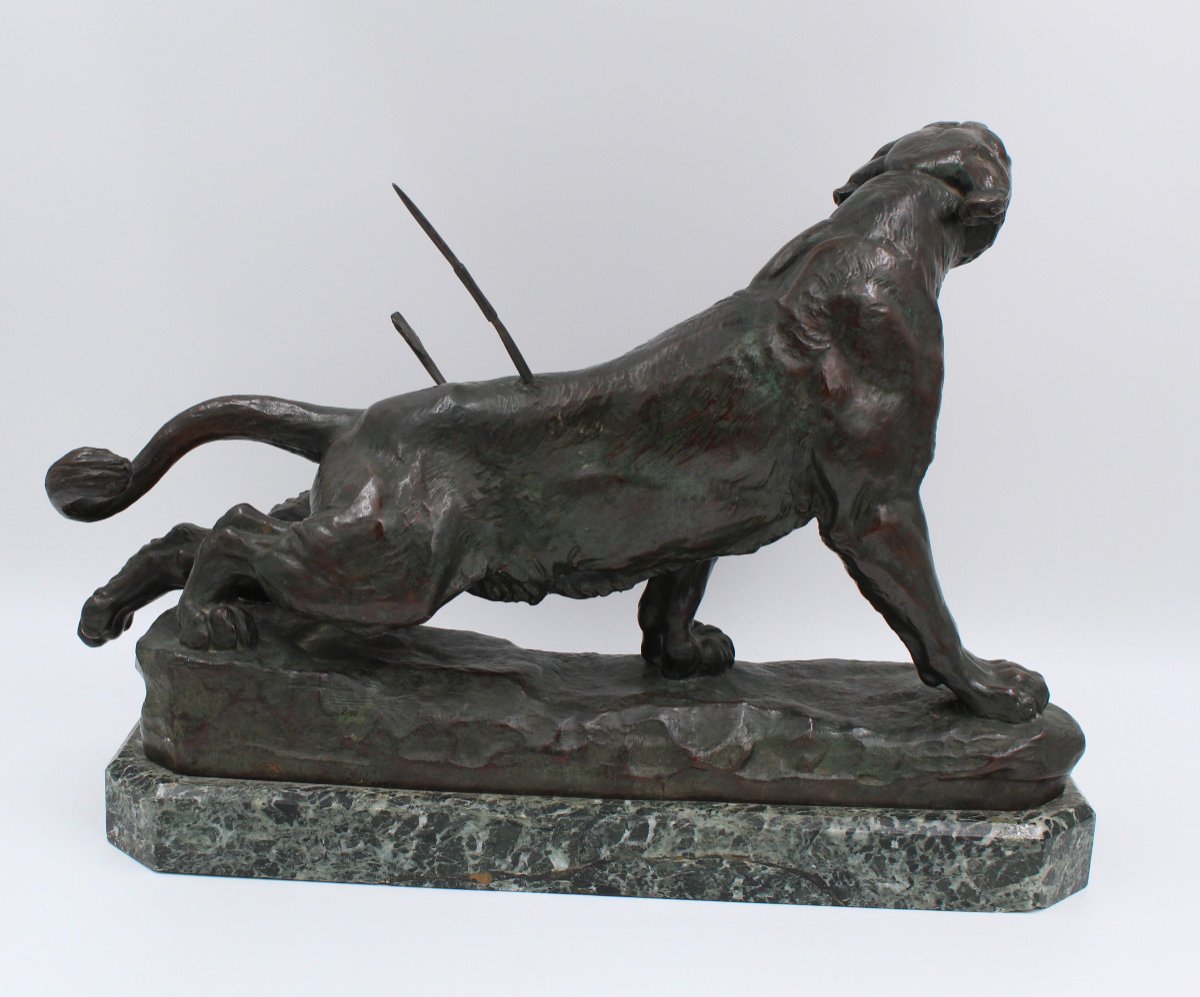 Large Bronze "the Wounded Lioness" By Charles Valton (1851-1918)-photo-2