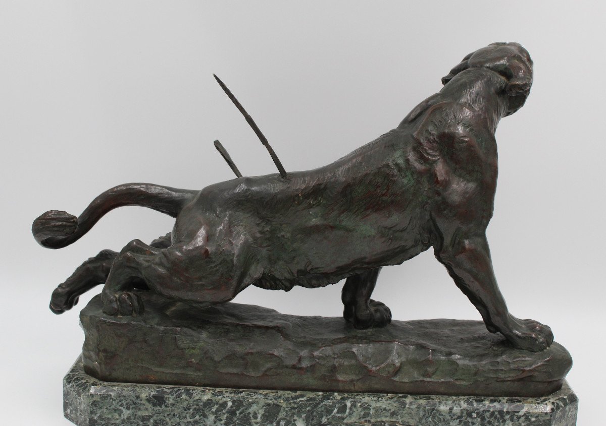 Large Bronze "the Wounded Lioness" By Charles Valton (1851-1918)-photo-3