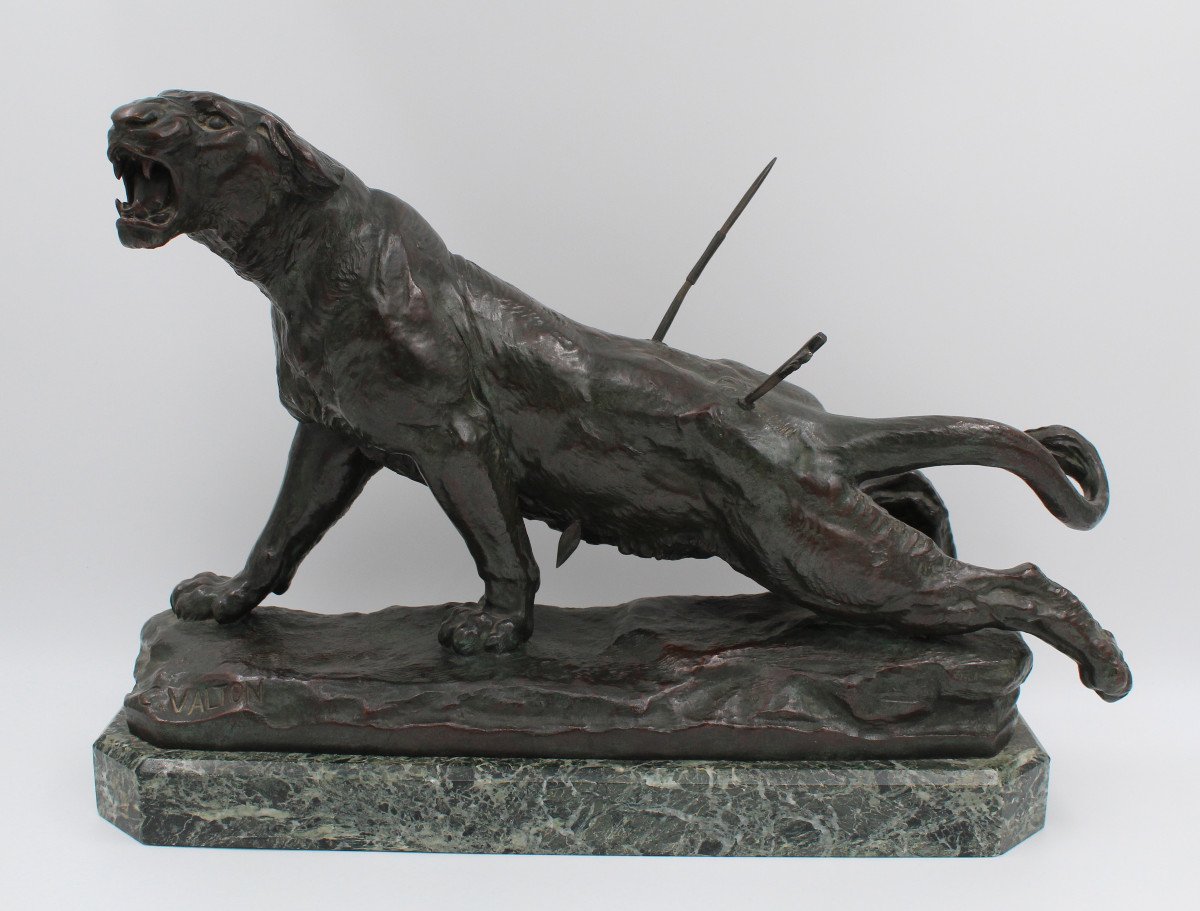 Large Bronze "the Wounded Lioness" By Charles Valton (1851-1918)