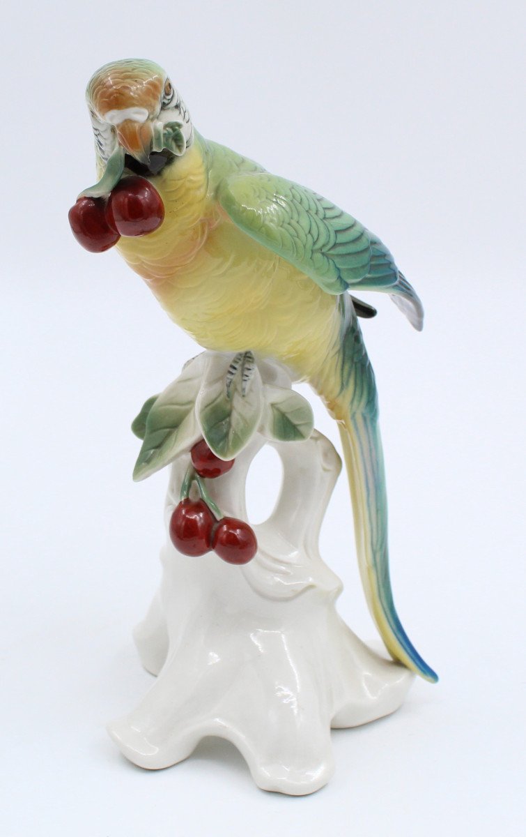 Karl Ens Porcelain Bird Enameled Saxe Parakeet H = 25 Cm