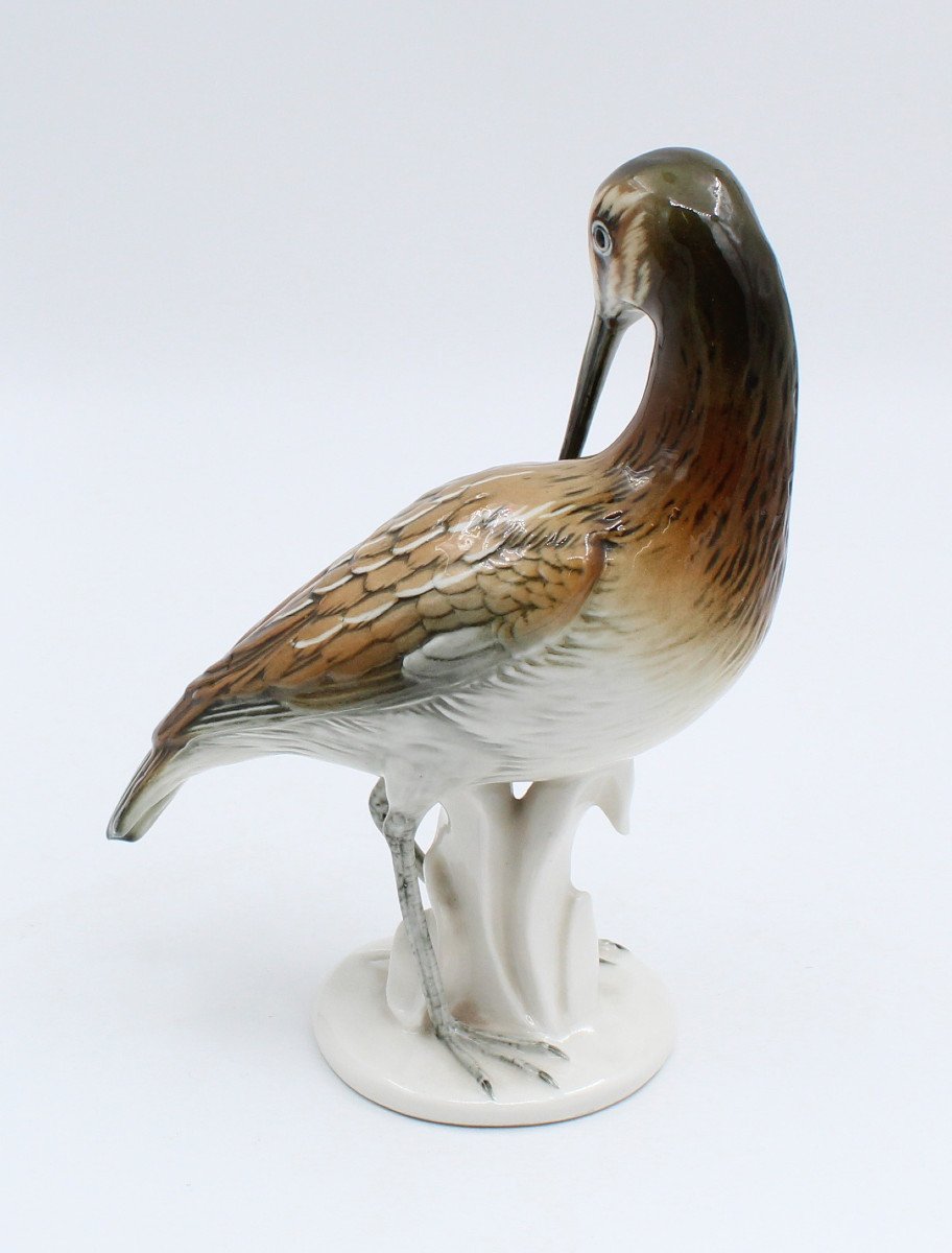 Karl Ens Bird In Porcelain Enameled Saxe Becasse H = 21.5 Cm-photo-3