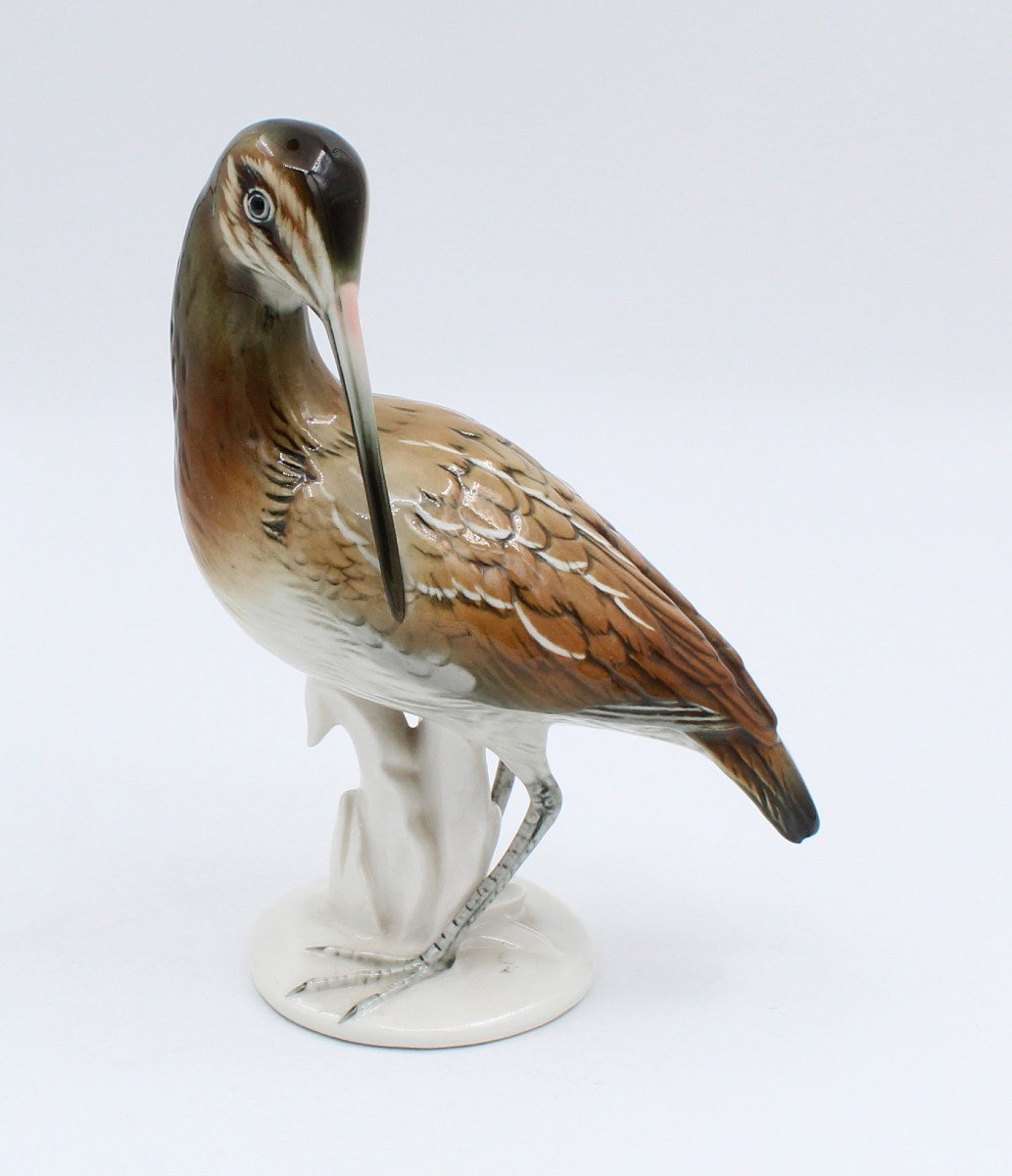 Karl Ens Bird In Porcelain Enameled Saxe Becasse H = 21.5 Cm