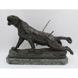 Large Bronze "the Wounded Lioness" By Charles Valton (1851-1918)