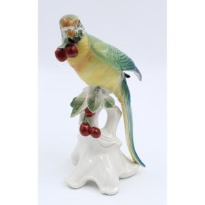 Karl Ens Porcelain Bird Enameled Saxe Parakeet H = 25 Cm