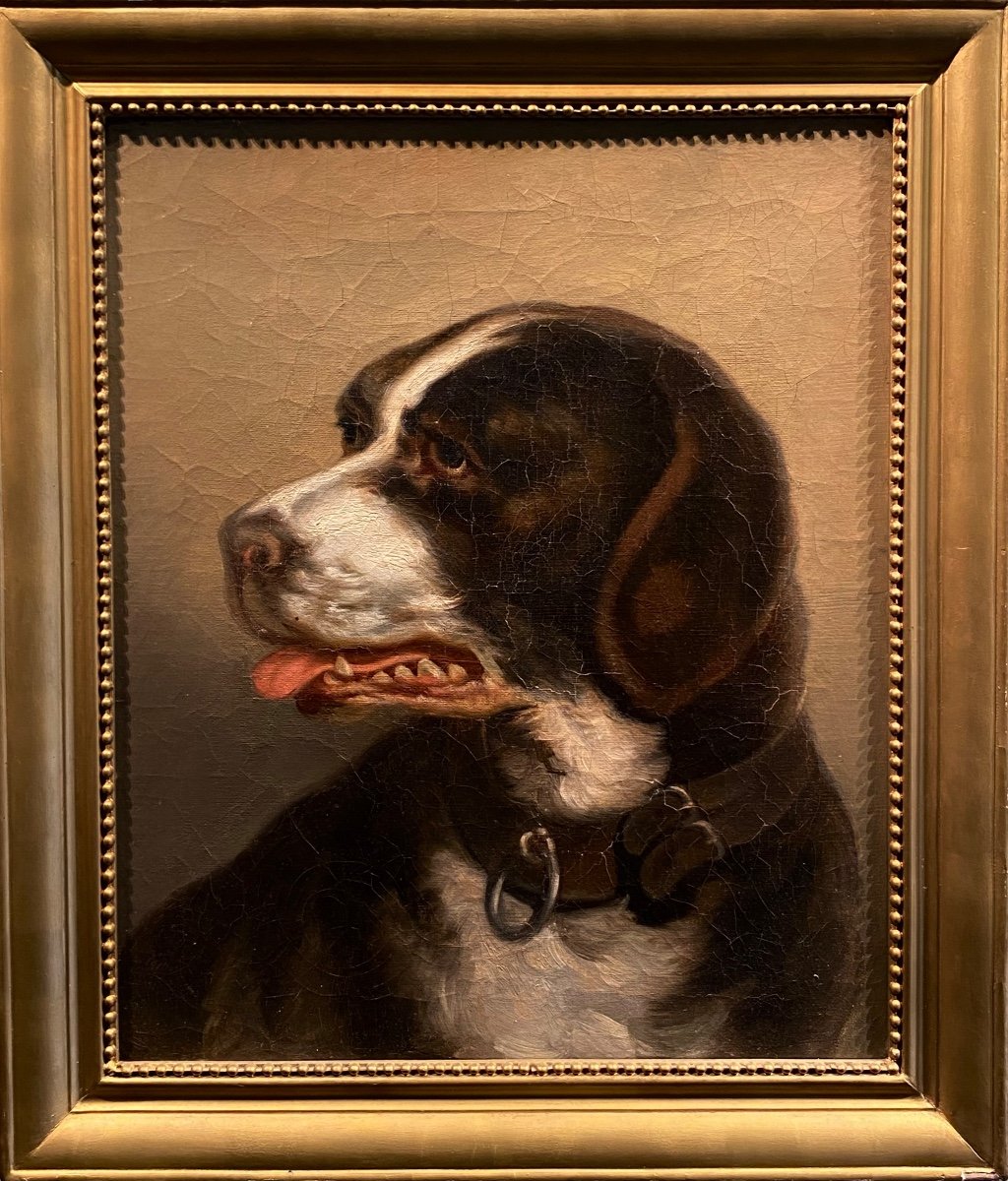 Ecole Française XIXe Portrait De Chien Huile Sur Toile Tableau Ancien Animalier