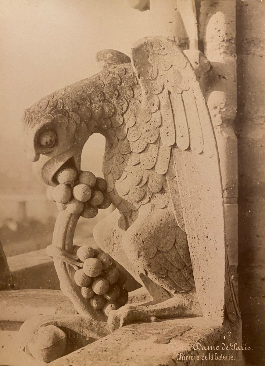 Médéric Mieusement (1840-1905) 4 Albumen Prints Chimeras Of Notre Dame Of Paris 1892-photo-3