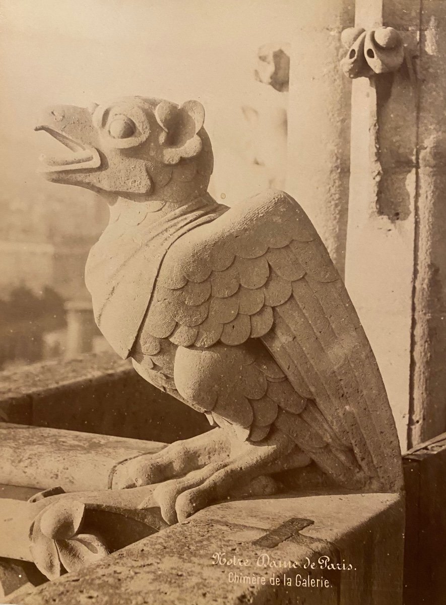 Médéric Mieusement (1840-1905) 4 Albumen Prints Chimeras Of Notre Dame Of Paris 1892-photo-4