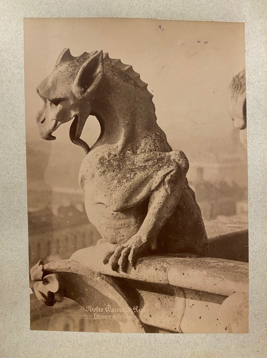 Médéric Mieusement (1840-1905) 4 Albumen Prints Chimeras Of Notre Dame Of Paris 1892-photo-1