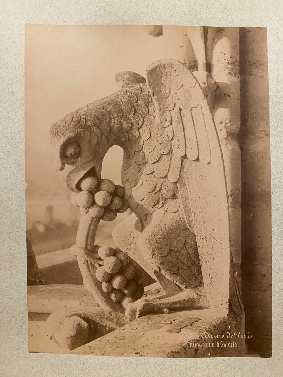 Médéric Mieusement (1840-1905) 4 Albumen Prints Chimeras Of Notre Dame Of Paris 1892-photo-3